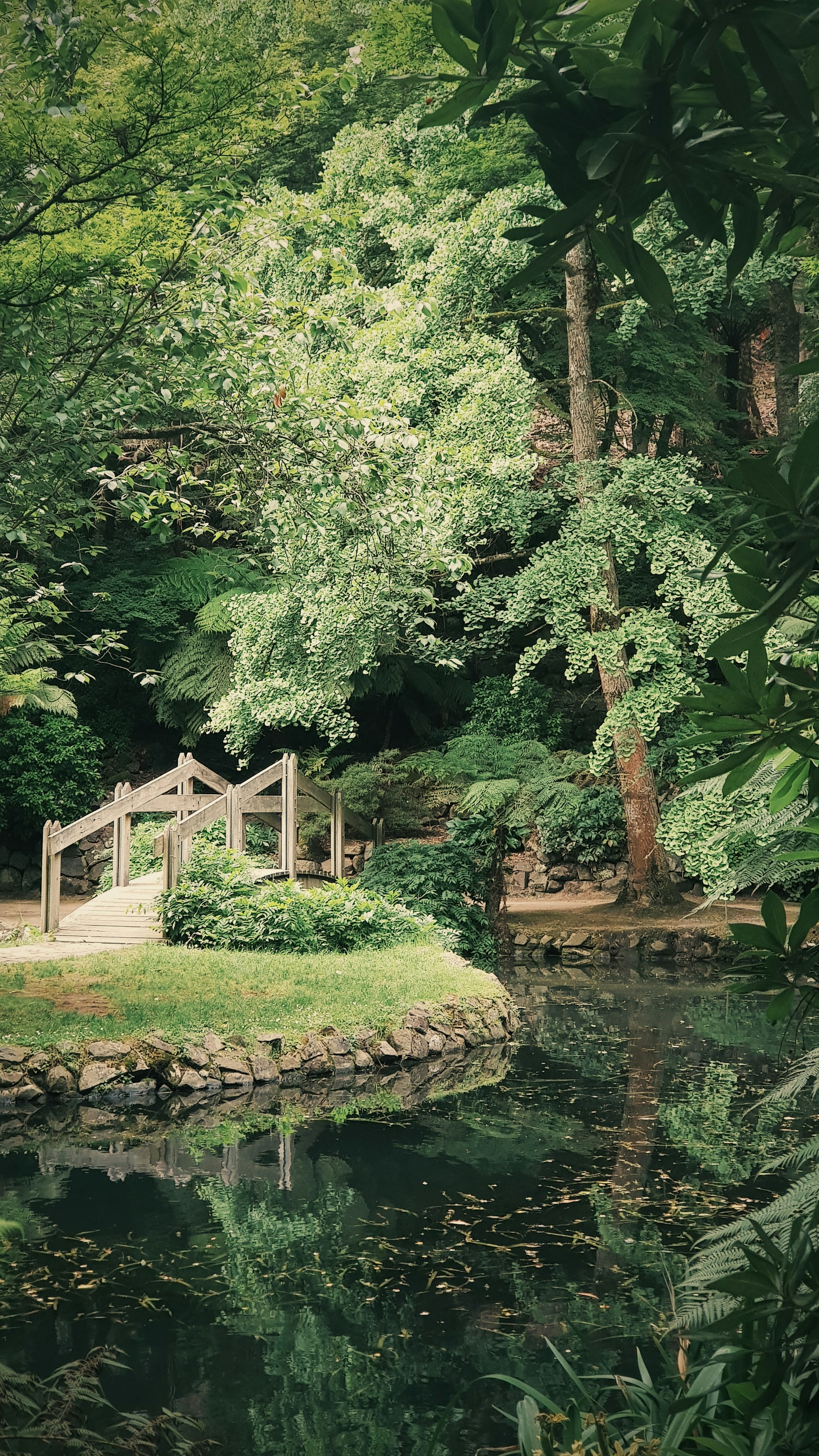 Beautiful outdoor garden landscape